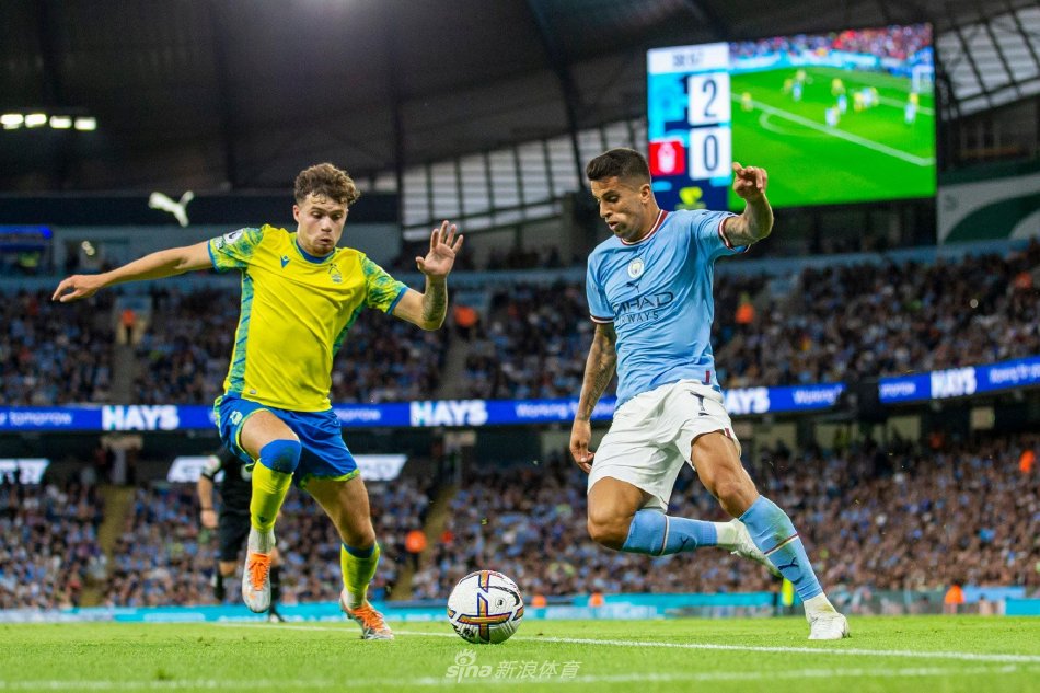 还有助于培 还有助于培